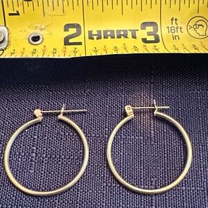 Elegant Gold Hoop Earrings H2
